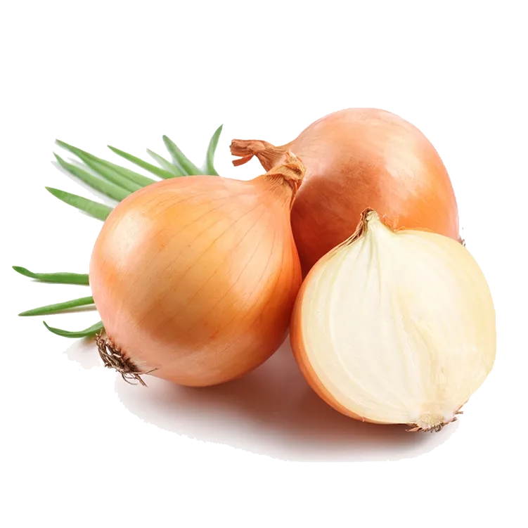 پیاز صادراتی و ارگانیک